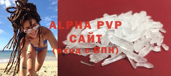 гашик Богданович