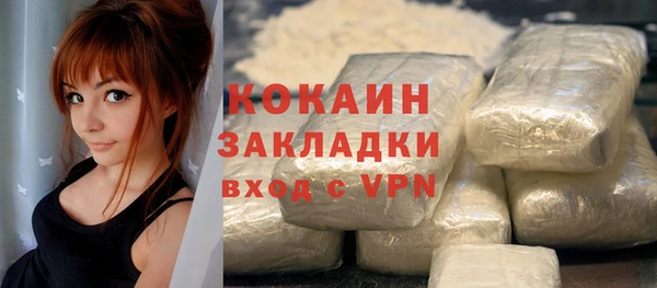 гашик Богданович