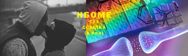 гашик Богданович