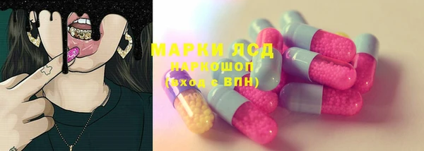 гашик Богданович